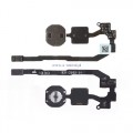 Tama iPhone 5S klawisza HOME (bez klawisza)
